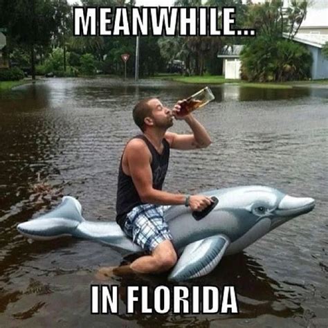 Funny hurricane meme. Things To Know About Funny hurricane meme. 